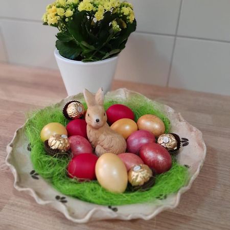 Apartament Ap Hector Năvodari Zewnętrze zdjęcie