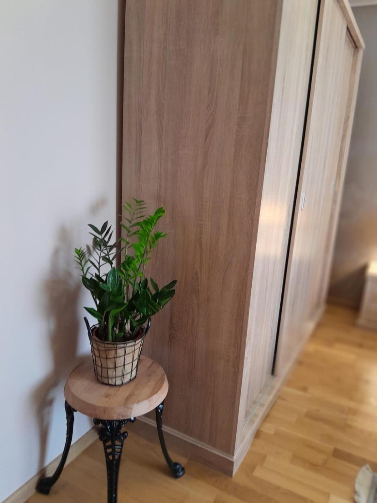 Apartament Ap Hector Năvodari Zewnętrze zdjęcie